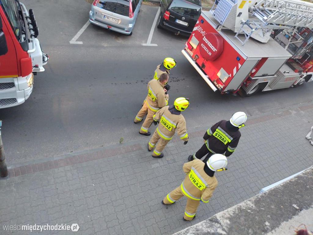 Akcja strażaków w Międzychodzie