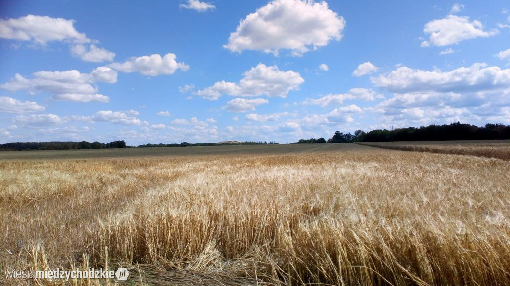 Kraina 100 jezior. Szlak Zatom Stary-Kamionna