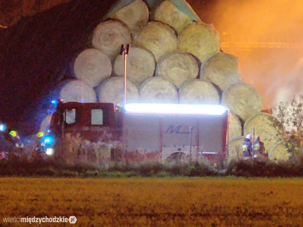 Pożar w zakładzie produkującym pellet ze słomy