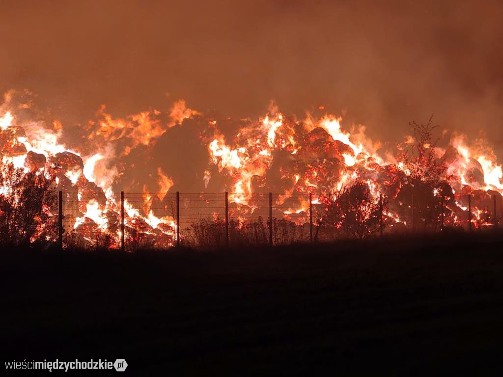 Pożar w zakładzie produkującym pellet ze słomy
