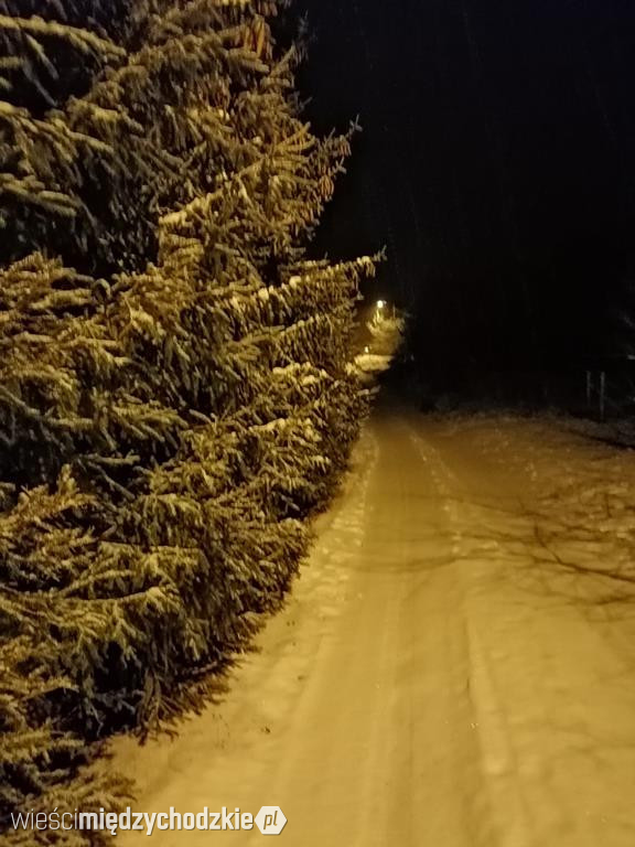 Wieczorny zimowy spacer w Łowyniu