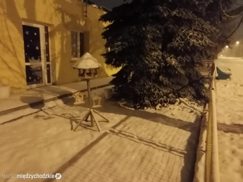 Wieczorny zimowy spacer w Łowyniu