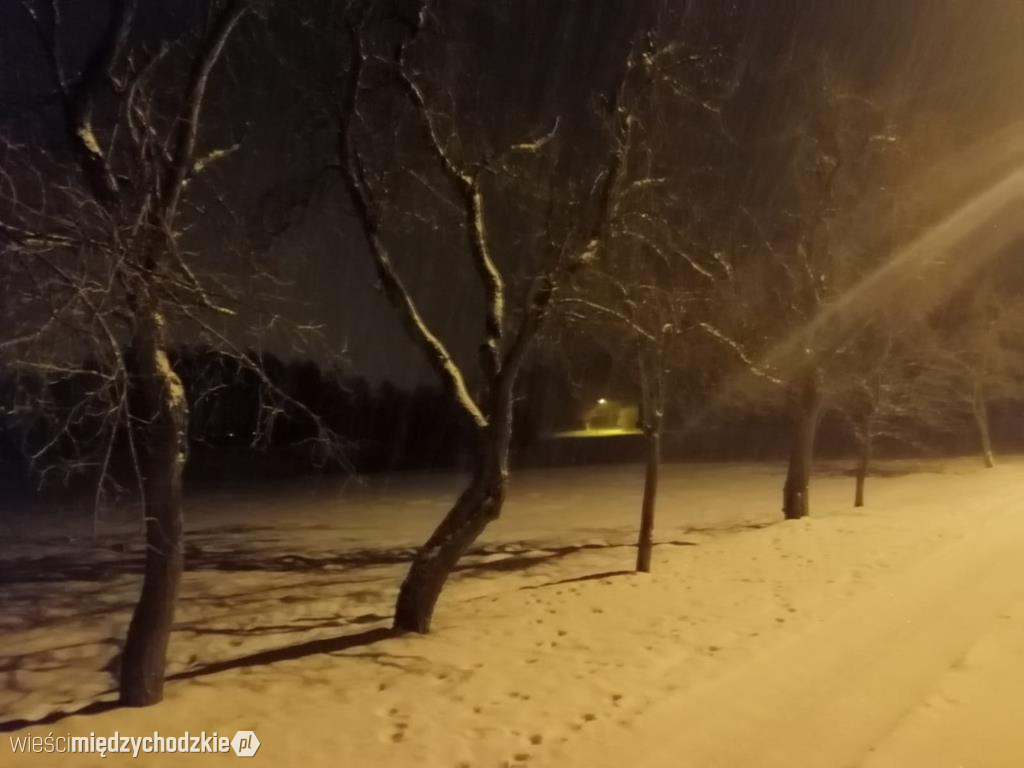 Wieczorny zimowy spacer w Łowyniu