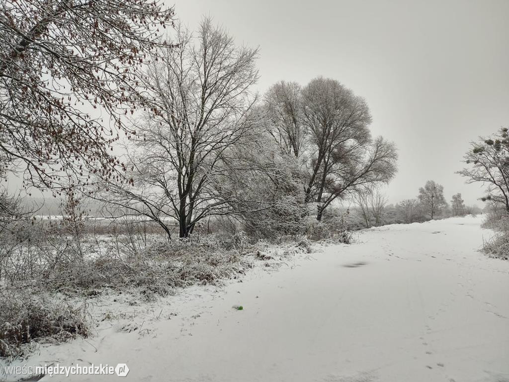 Międzychód zimową porą