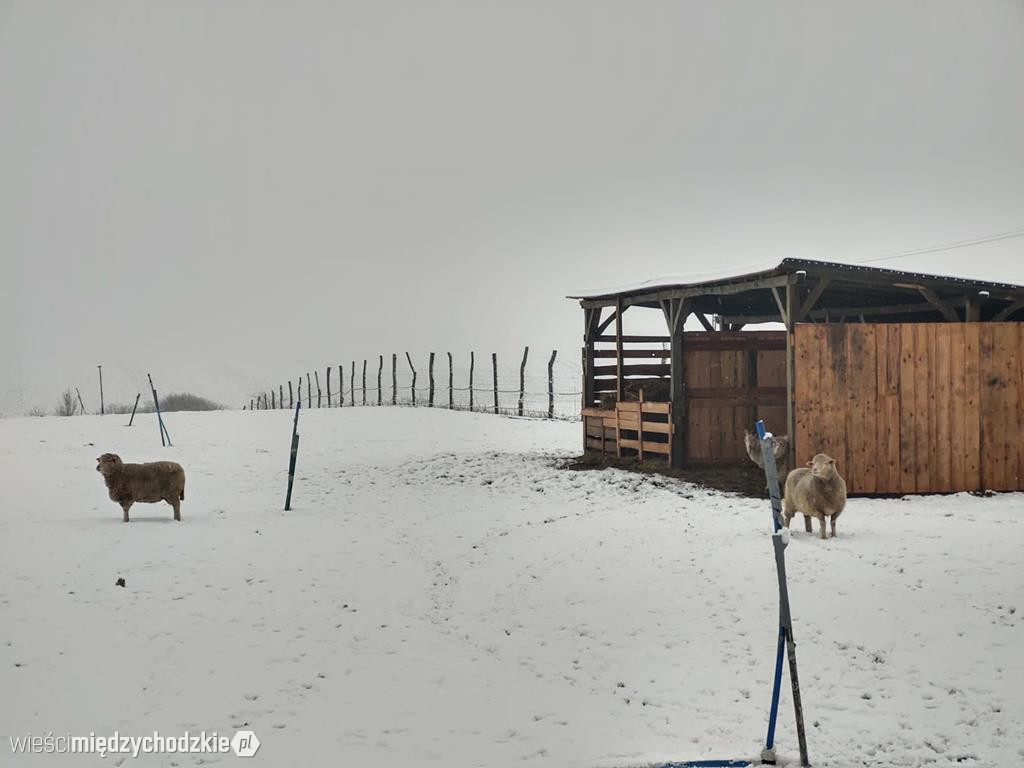 Międzychód zimową porą