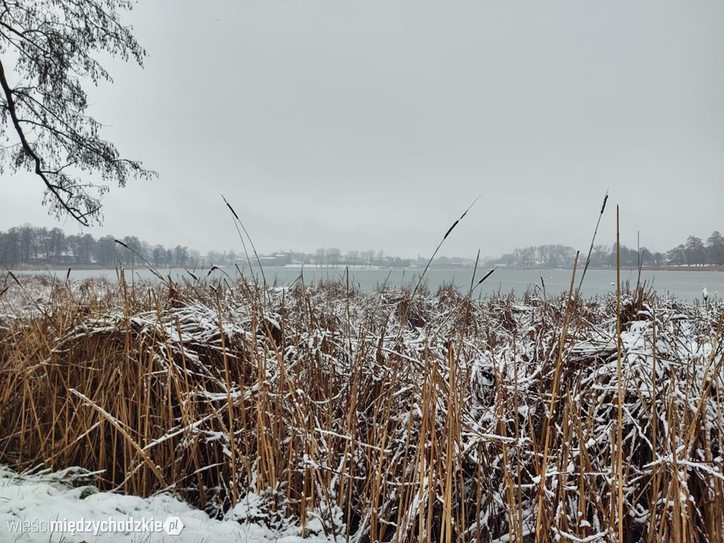 Międzychód zimową porą