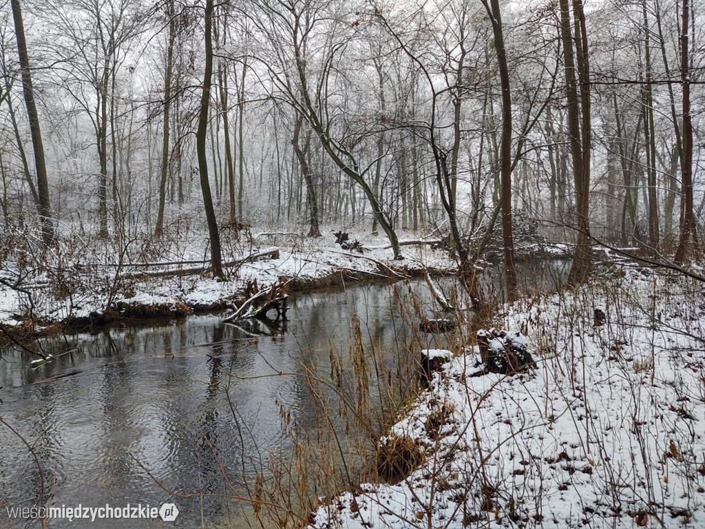 Międzychód zimową porą