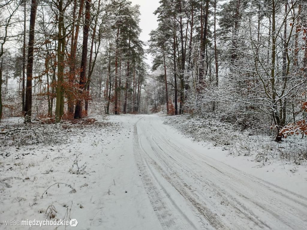 Międzychód zimową porą
