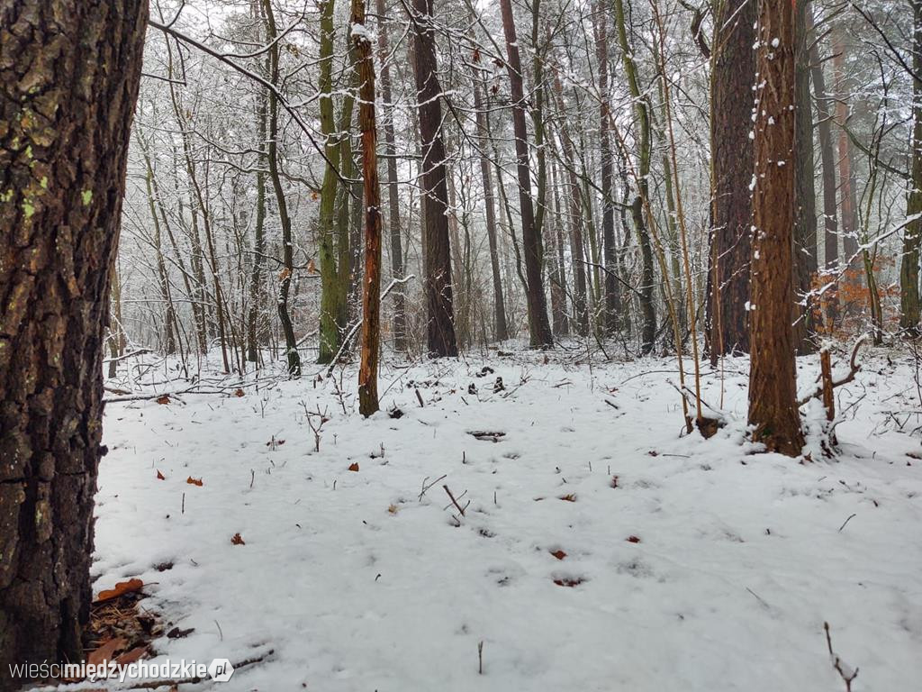 Międzychód zimową porą