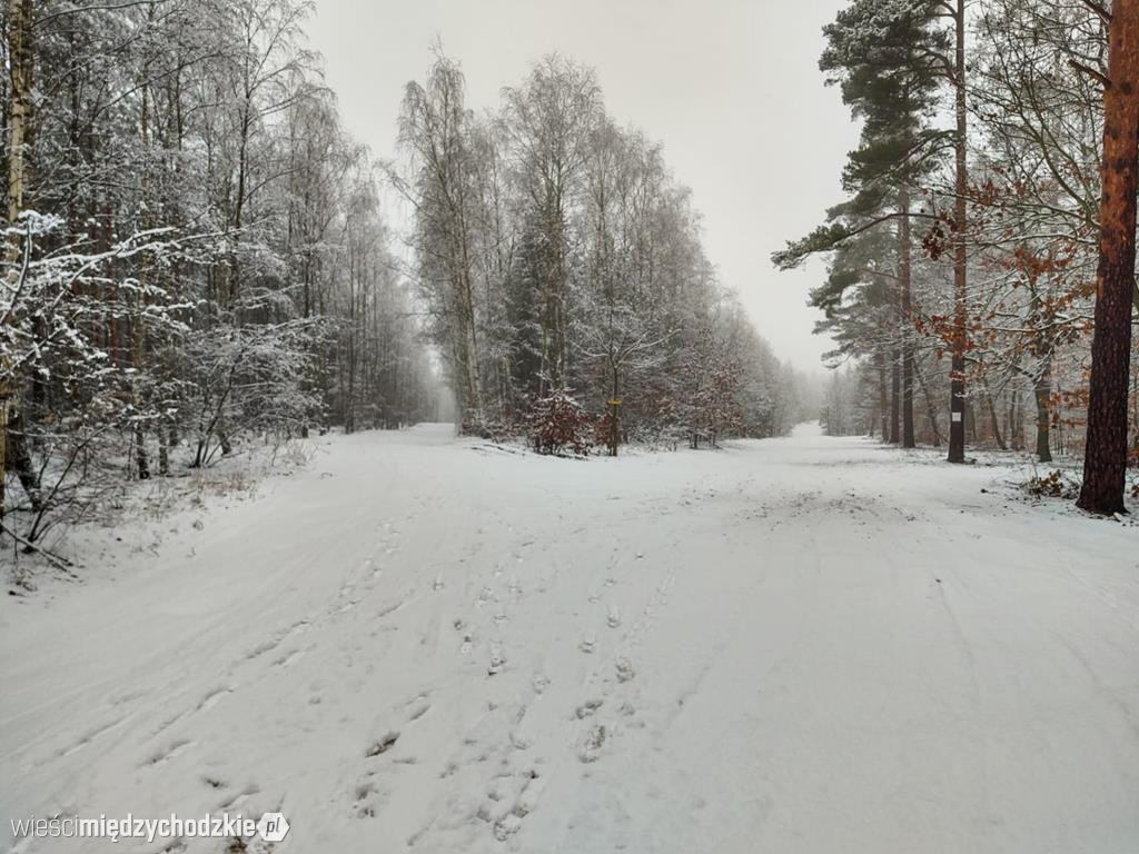 Międzychód zimową porą