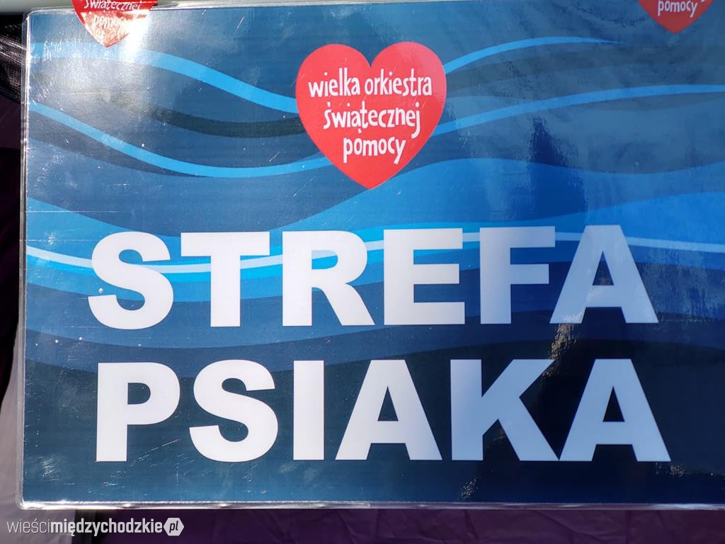 Wyjdź na spacer ze swoim psem