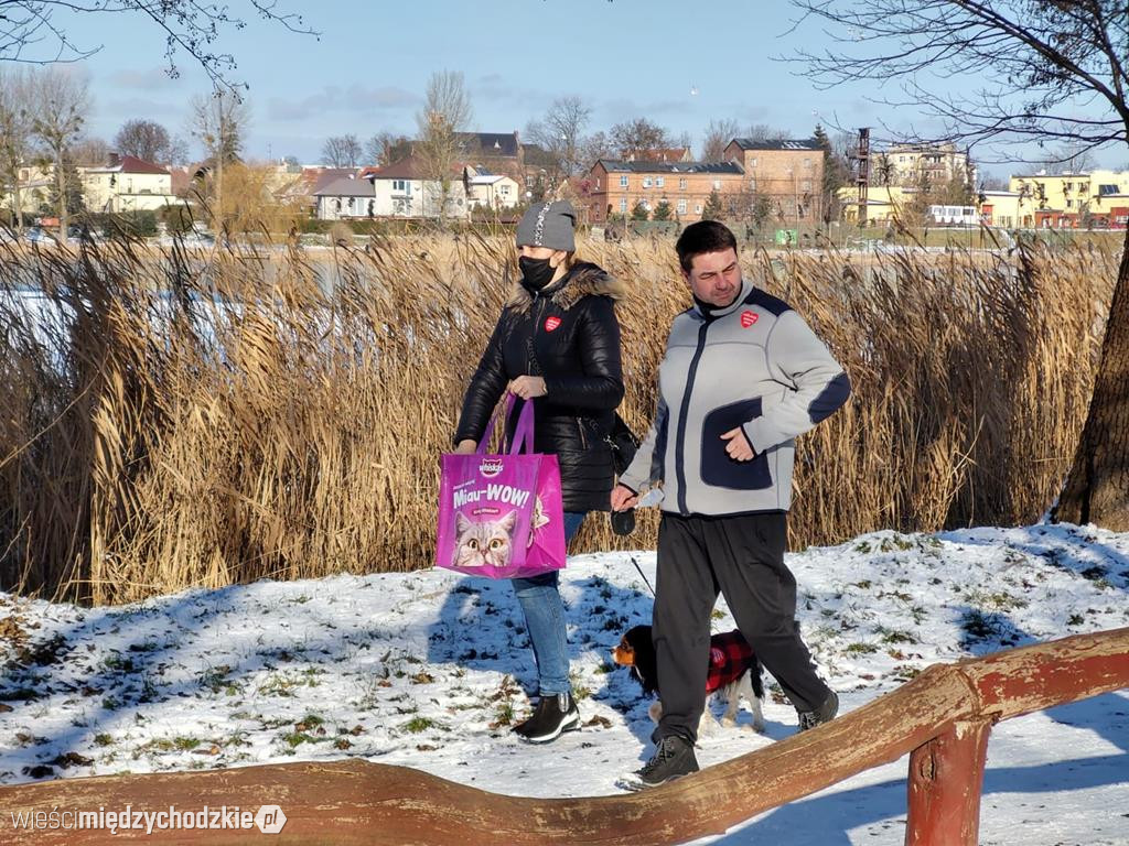 Wyjdź na spacer ze swoim psem