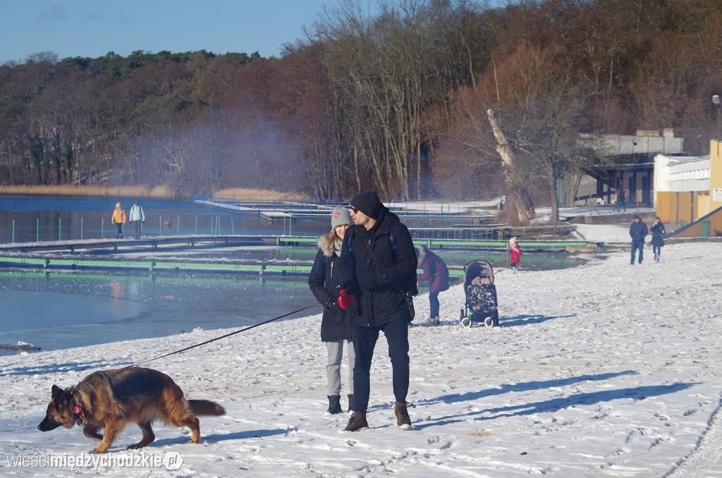Dotrzyj do puszki WOŚP