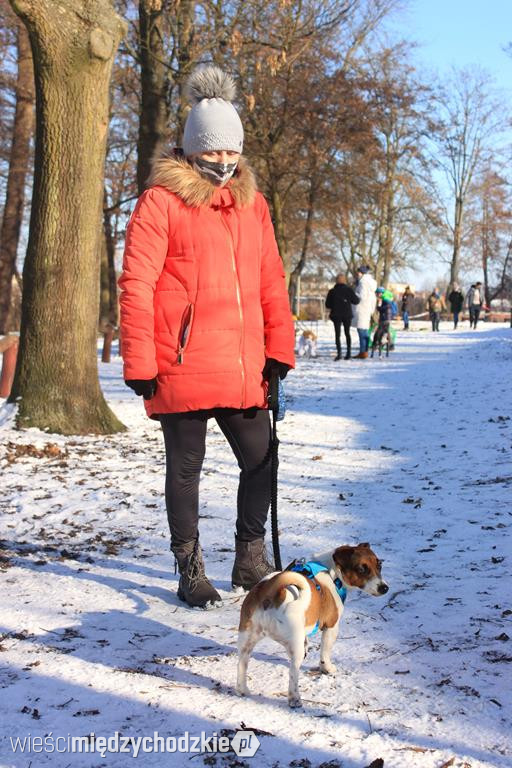 Pies naszym przyjacielem. I wspiera WOŚP