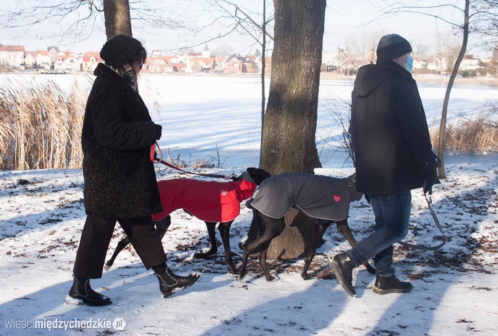 Pies naszym przyjacielem. I wspiera WOŚP