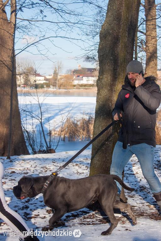 Pies naszym przyjacielem. I wspiera WOŚP