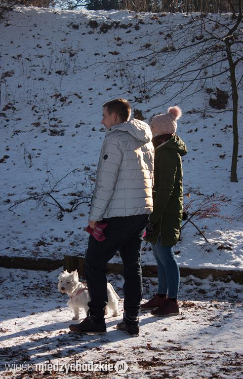 Pies naszym przyjacielem. I wspiera WOŚP