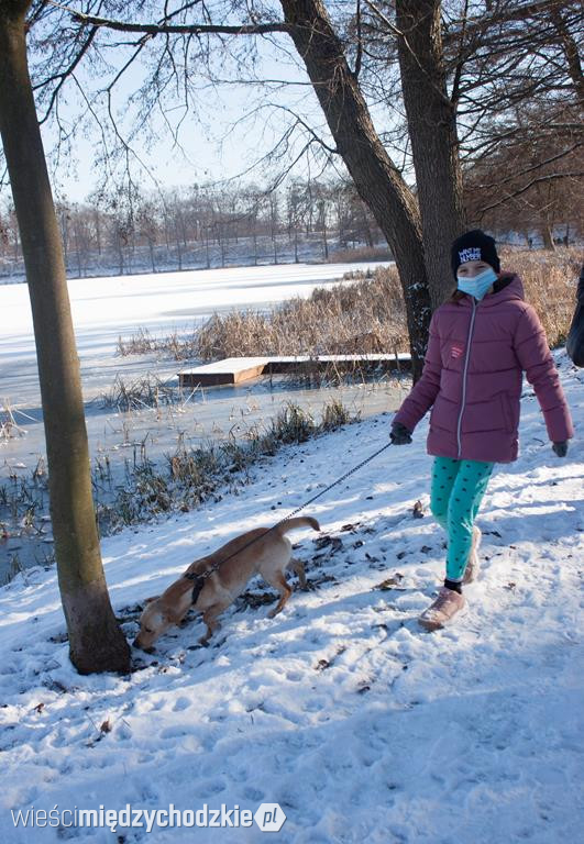 Pies naszym przyjacielem. I wspiera WOŚP