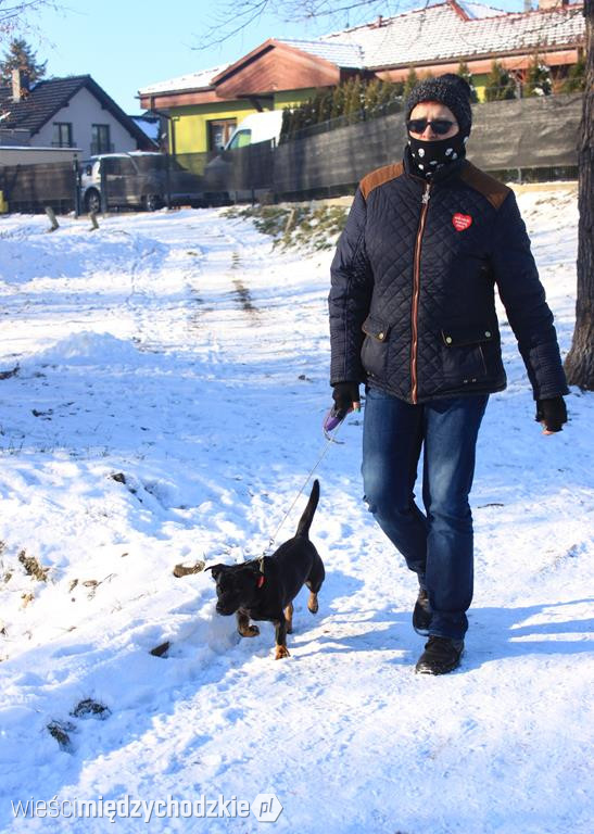 Pies naszym przyjacielem. I wspiera WOŚP
