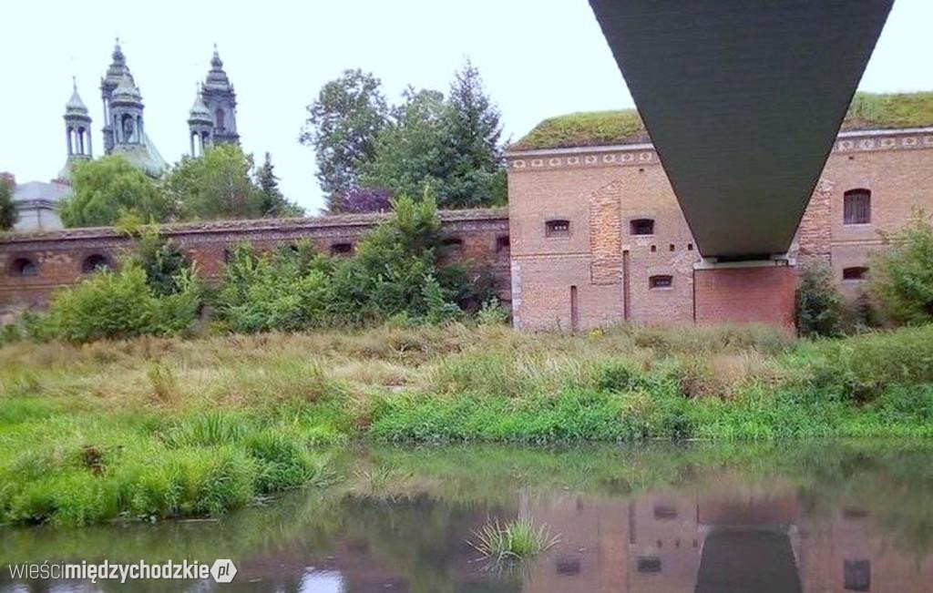 Adam zaprasza na wycieczkę do Poznania