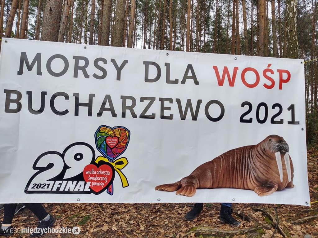 Morsowanie w Bucharzewie
