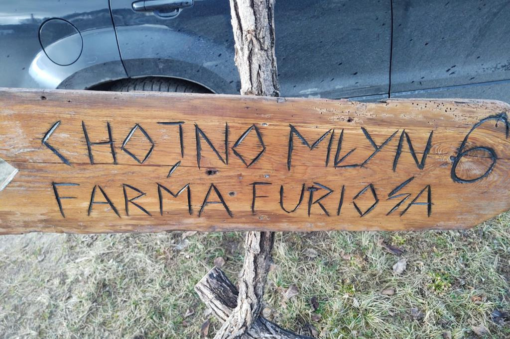 Pożegnanie zimy