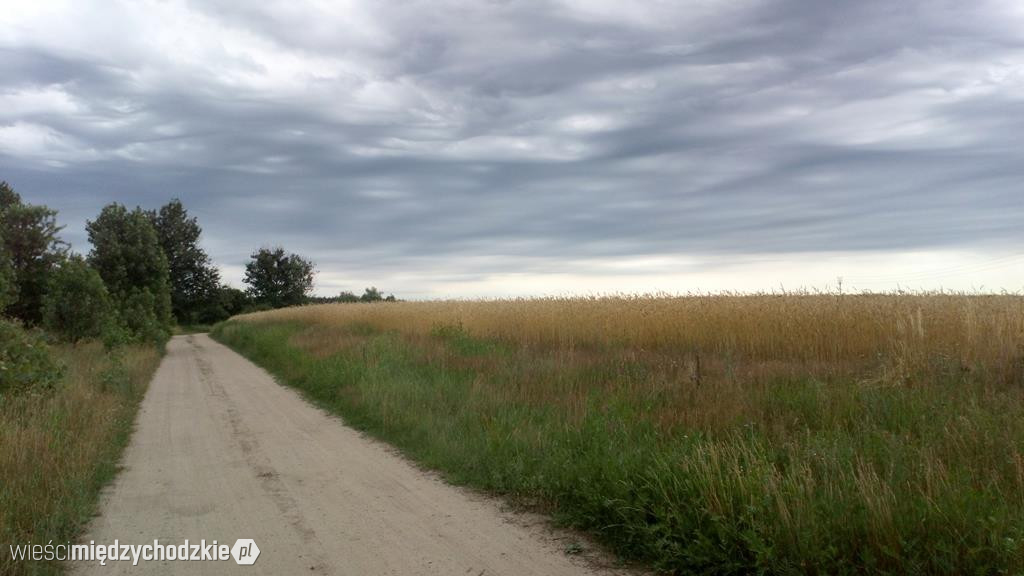 Zapraszamy na szlak z Łowynia do Prusimia