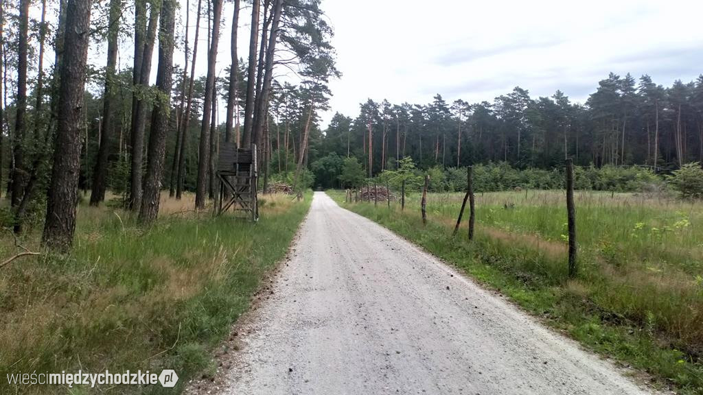 Zapraszamy na szlak z Łowynia do Prusimia