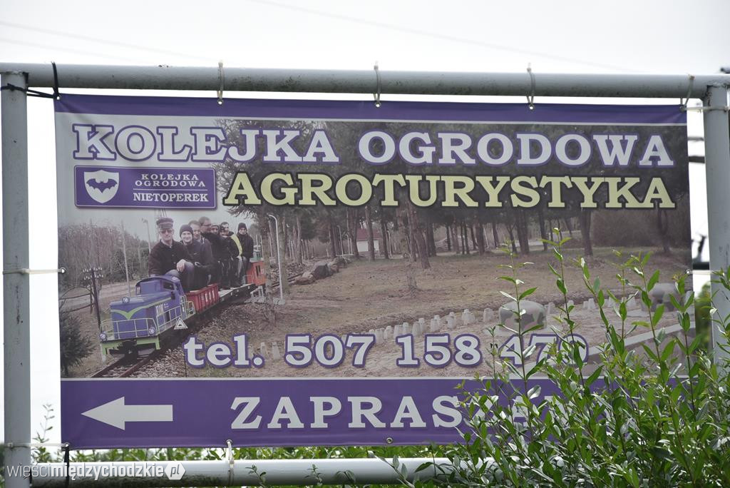Przejażdżka kolejką ogrodową