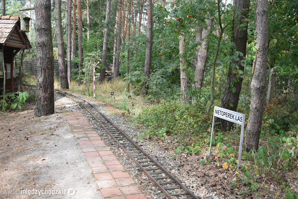 Przejażdżka kolejką ogrodową