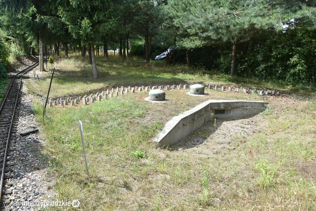 Przejażdżka kolejką ogrodową