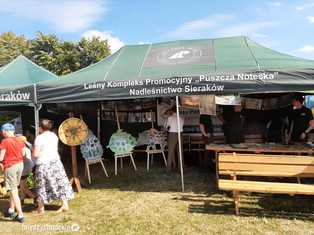Festyn leśny w Luboszu