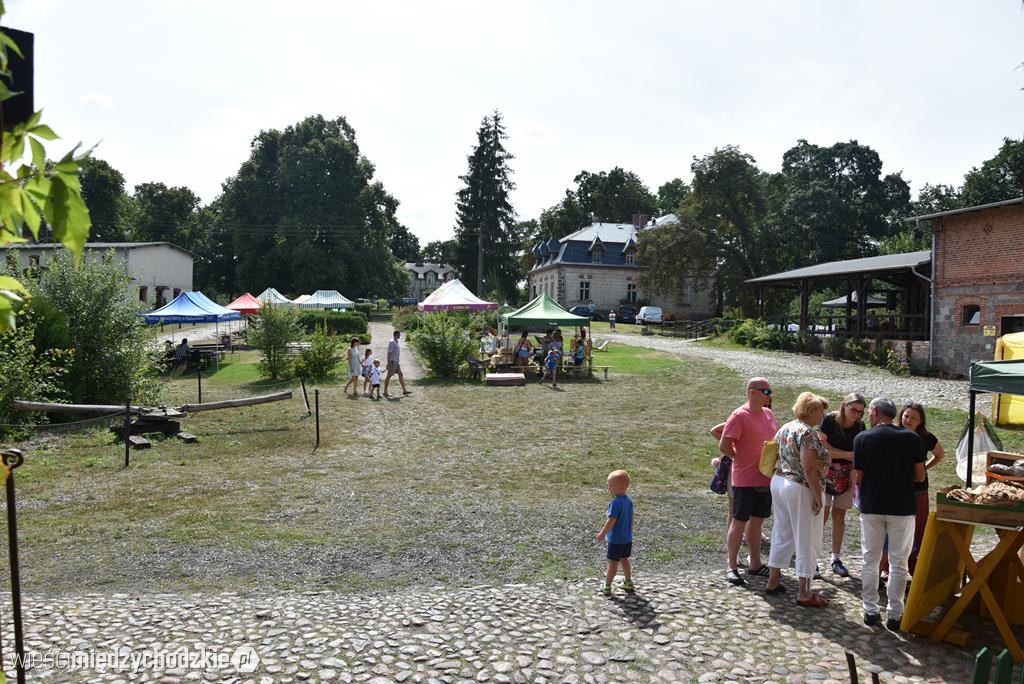 Mniszki Pachną Ziołami i Miodem