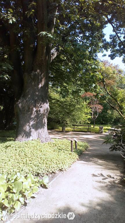 Ogród Botaniczny UAM w Poznaniu