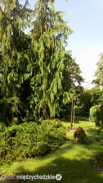 Ogród Botaniczny UAM w Poznaniu