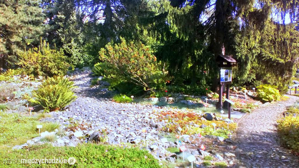 Ogród Botaniczny UAM w Poznaniu