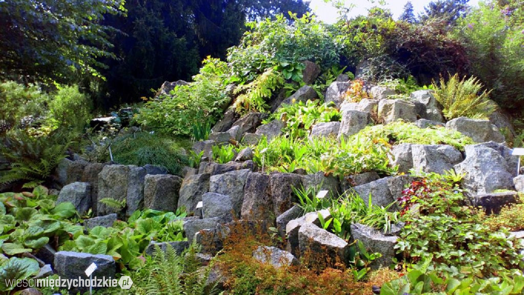 Poznański Ogród Botaniczny