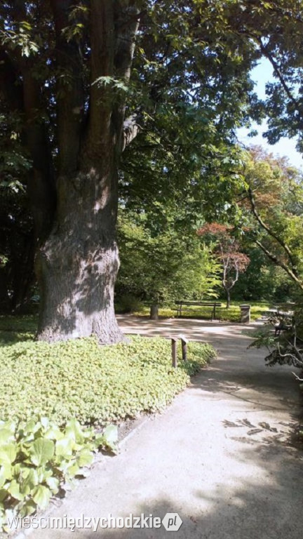 Poznański Ogród Botaniczny