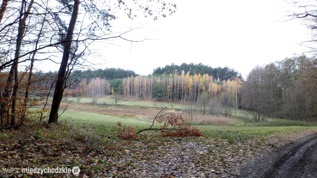 Wędrówka z Tucholi do rezerwatu przyrody