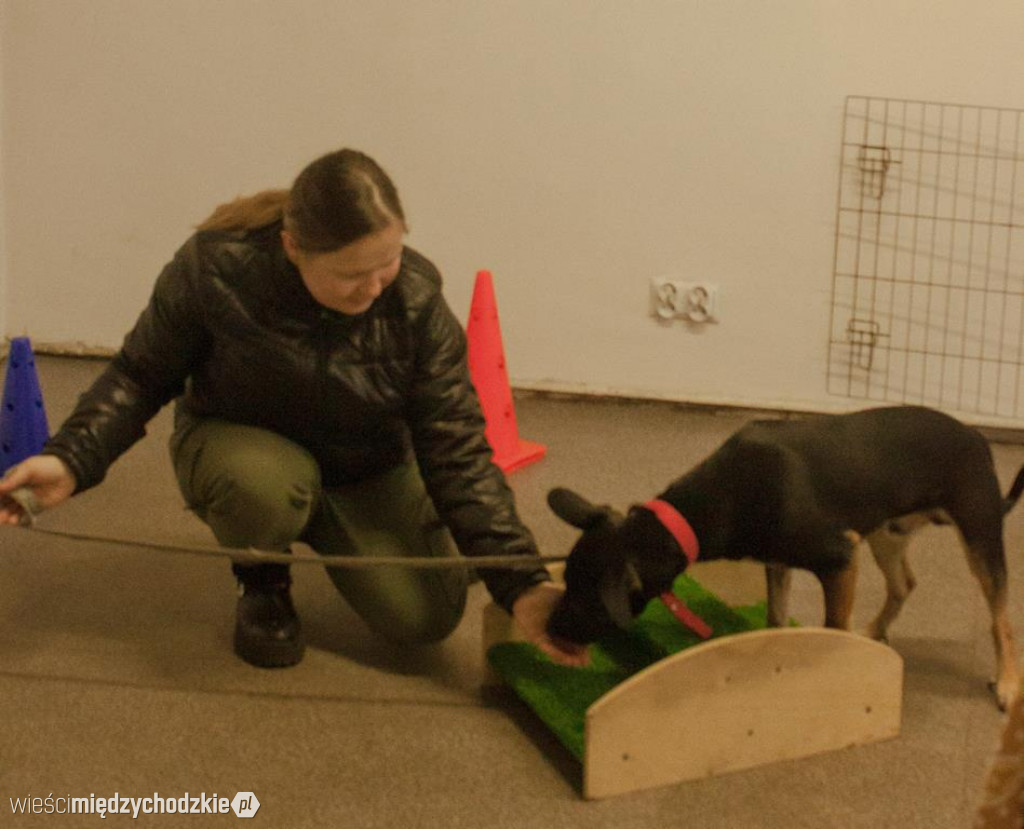 Orkiestrowe atrakcje dla czworonożnych przyjaciół
