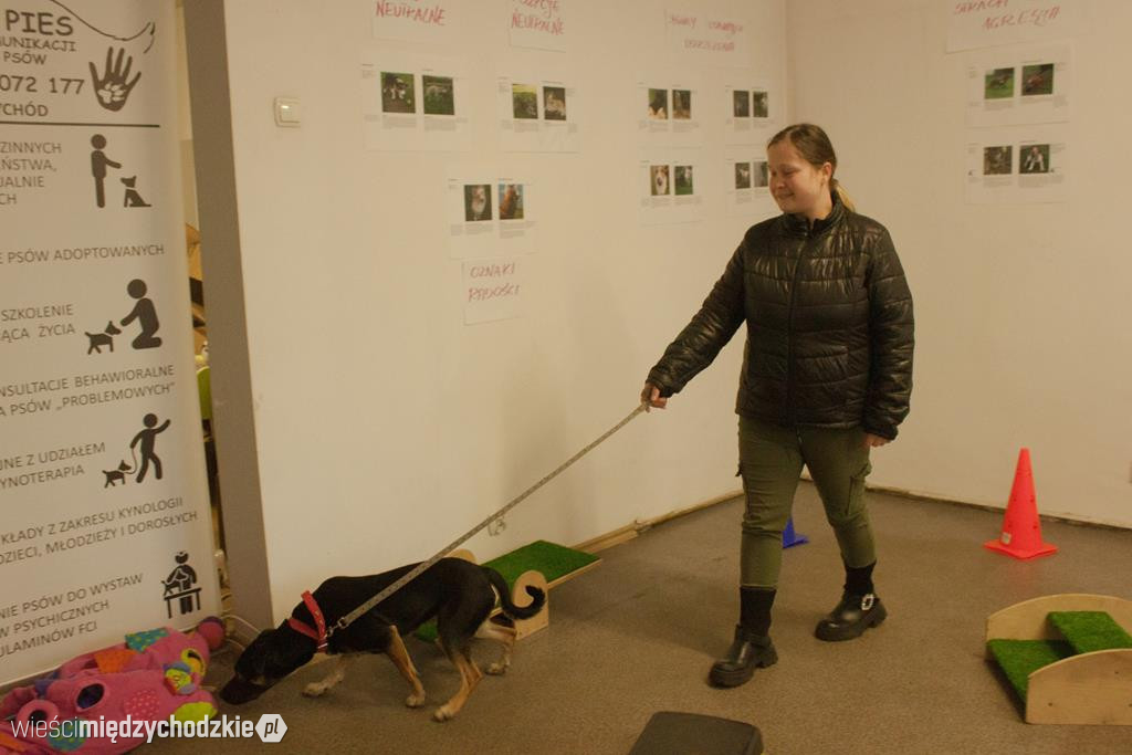 Orkiestrowe atrakcje dla czworonożnych przyjaciół