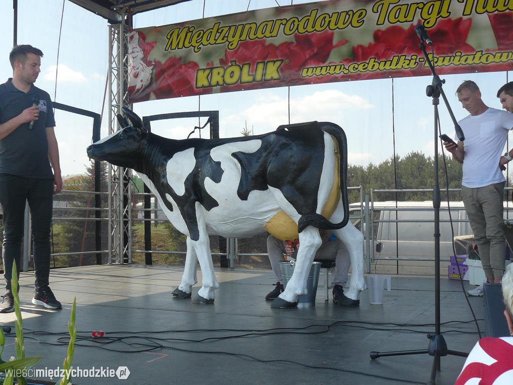Grupa Fest na Targach Tulipanów w Chrzypsku