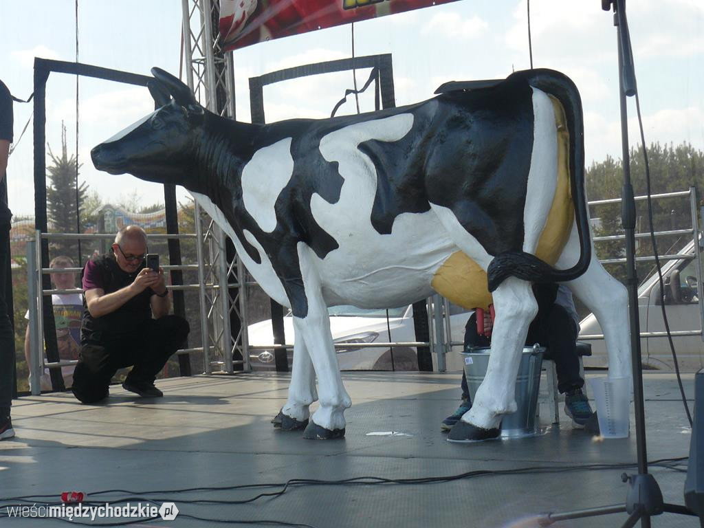 Grupa Fest na Targach Tulipanów w Chrzypsku