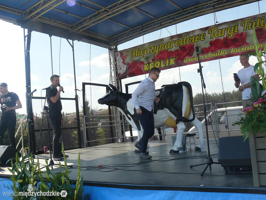 Grupa Fest na Targach Tulipanów w Chrzypsku