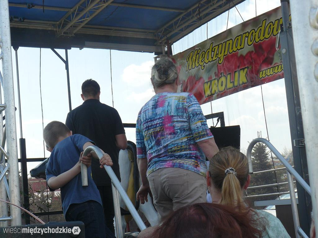 Grupa Fest na Targach Tulipanów w Chrzypsku