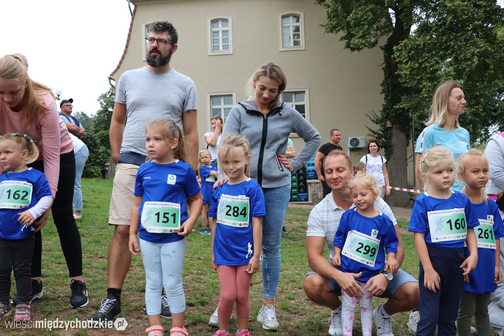 Młodzi bigacze w Olandii