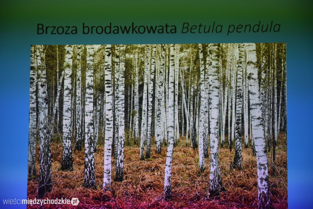 Spichlerz letnich plonów w Mniszkach