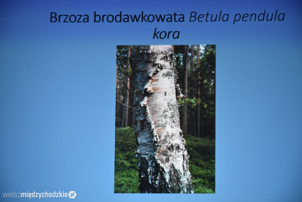 Spichlerz letnich plonów w Mniszkach