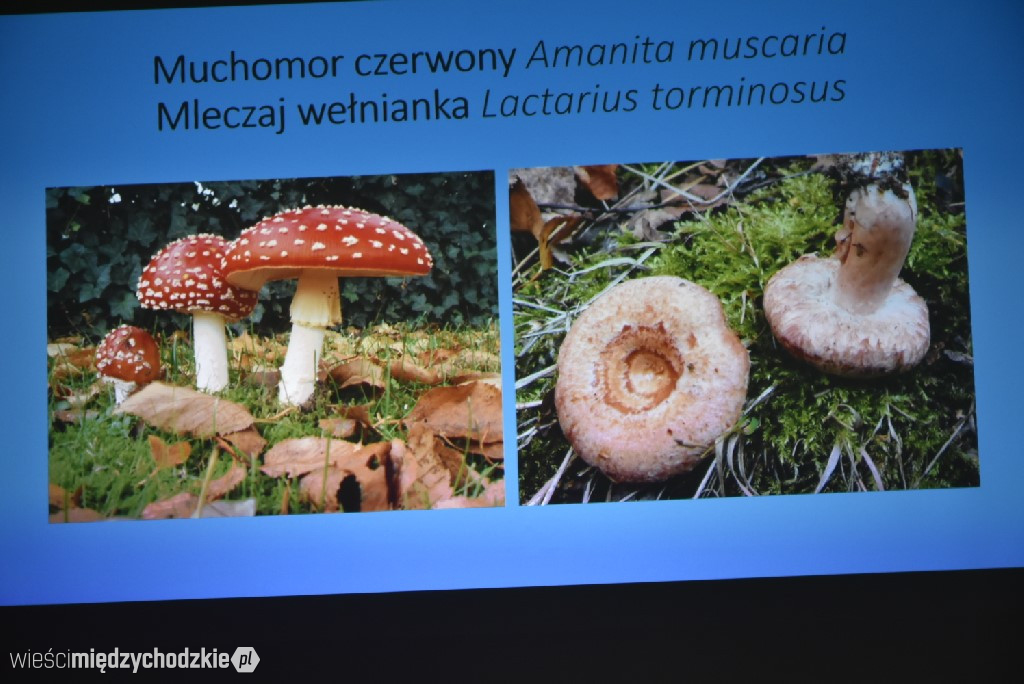 Spichlerz letnich plonów w Mniszkach