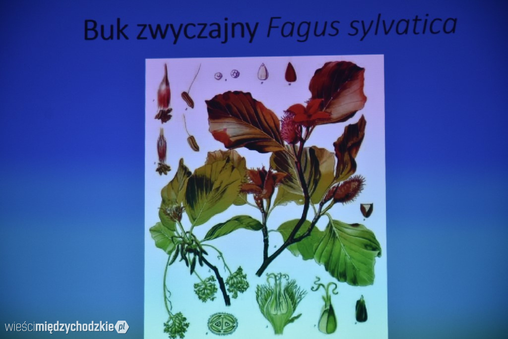 Spichlerz letnich plonów w Mniszkach